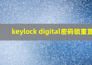 keylock digital密码锁重置